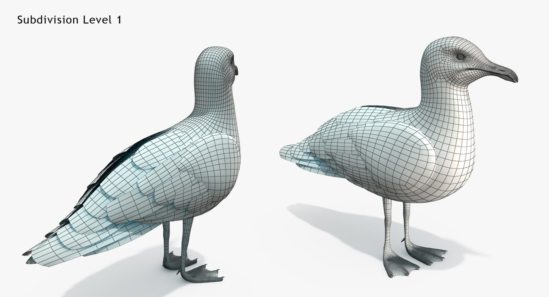 3d Model Seagull Rigged