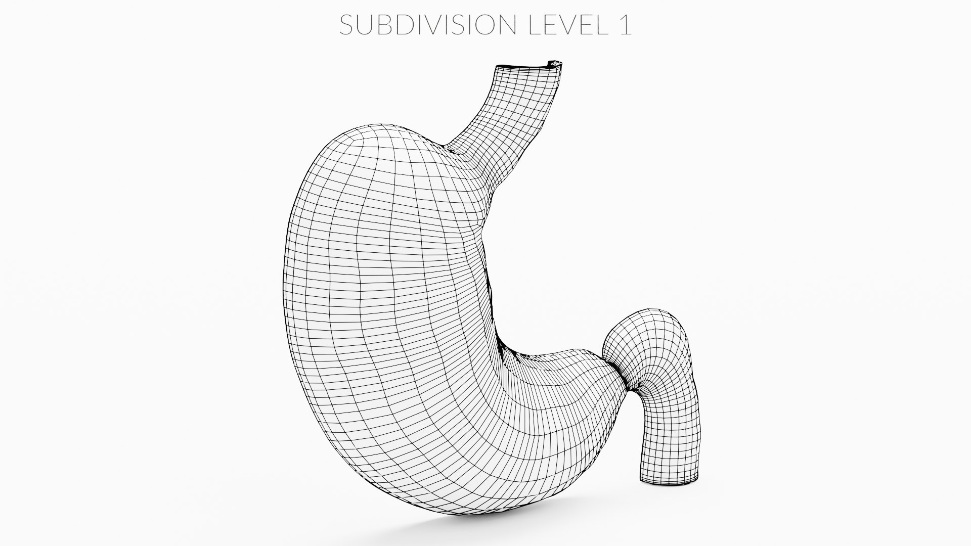 3D Gastric Acid - TurboSquid 1752668