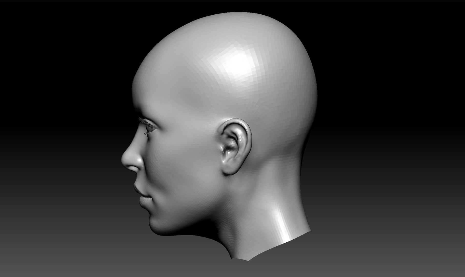 Free Female Head Symmetrical 3D - TurboSquid 1165717