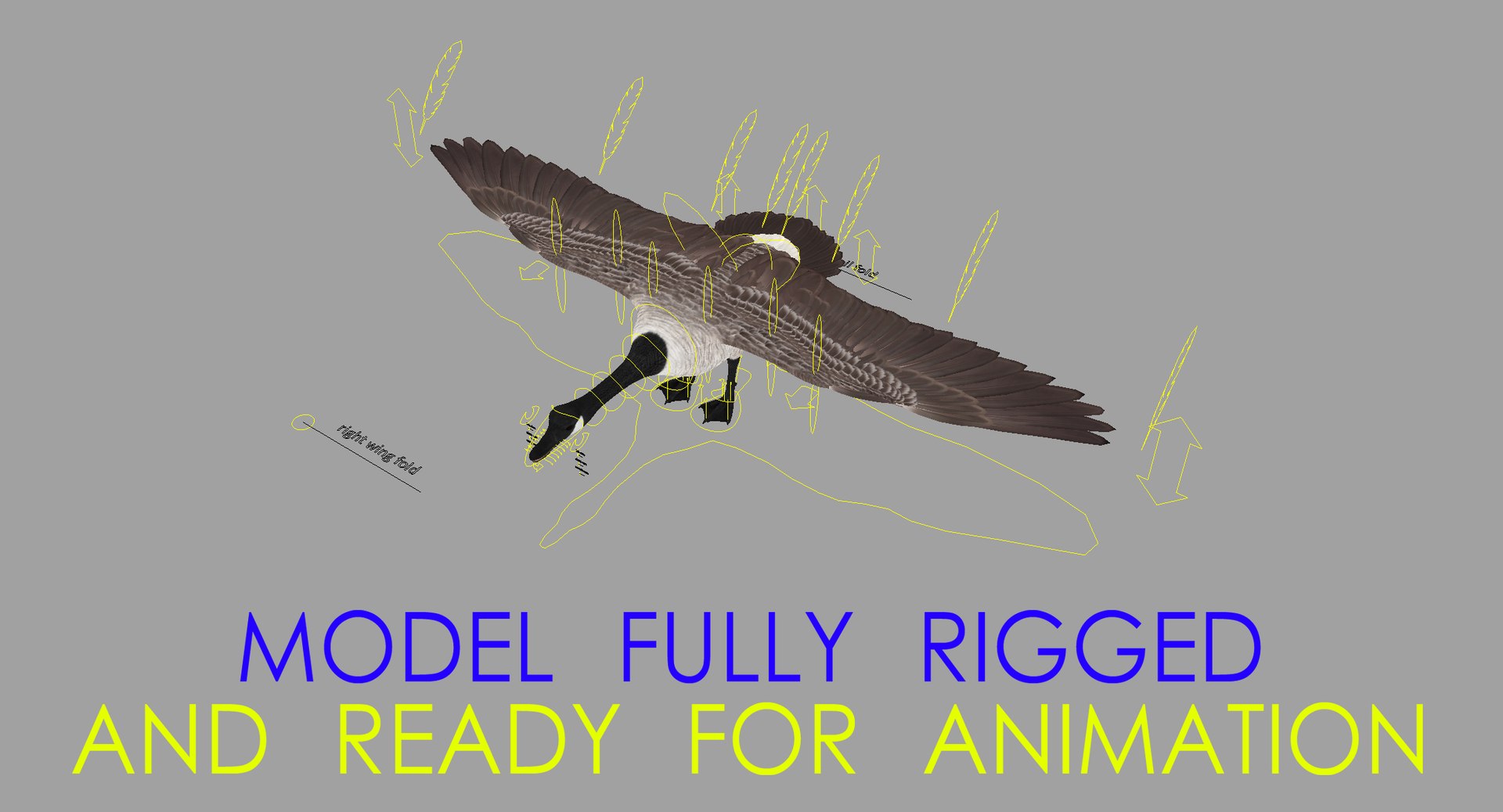 obj branta canadensis canada goose https://p.turbosquid.com/ts-thumb/9G/r3bsDN/JH7aX4WX/rigged_wide/jpg/1431329135/1920x1080/fit_q87/6098a4ec0d0952bffe183191312fbad9fc5d6096/rigged_wide.jpg