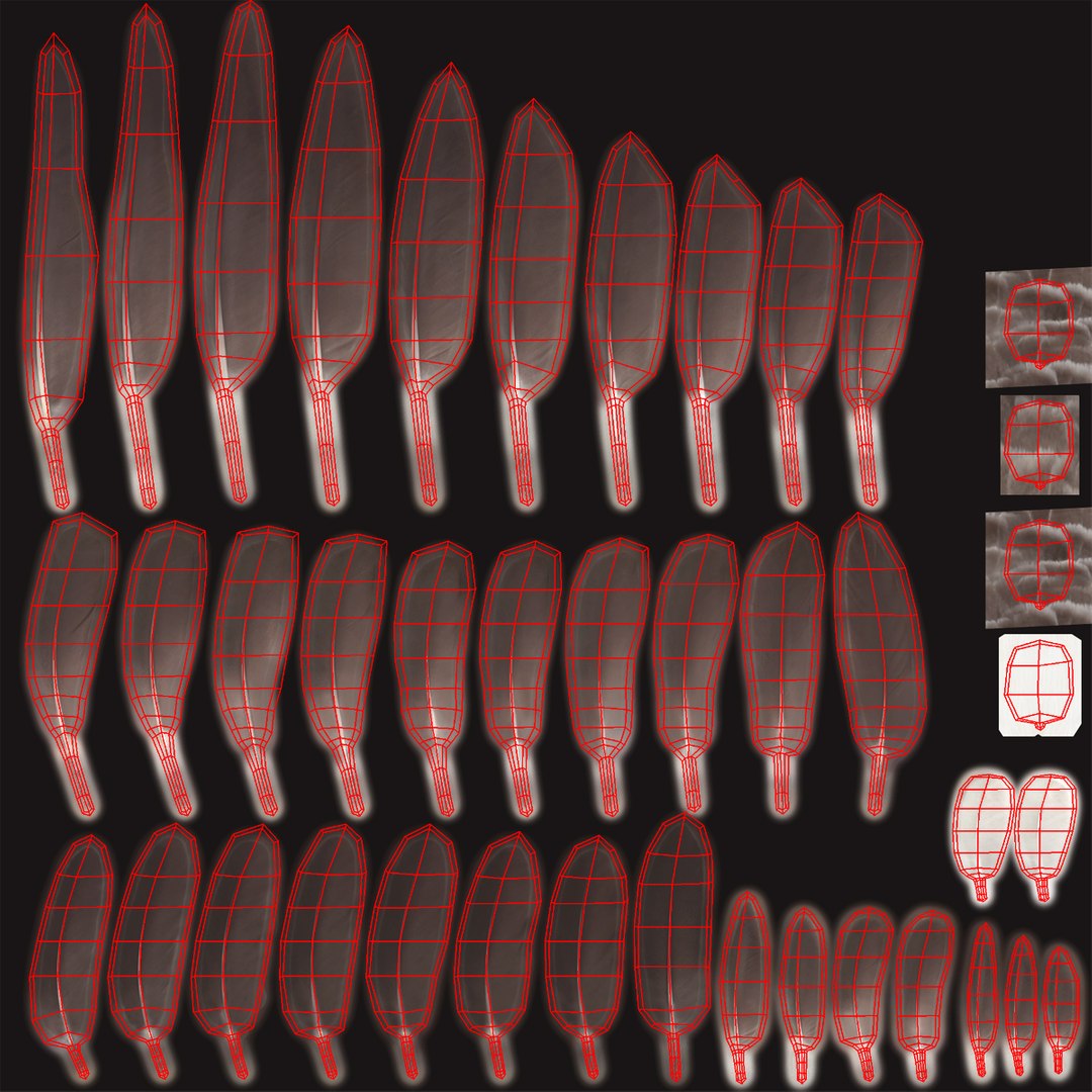 obj branta canadensis canada goose https://p.turbosquid.com/ts-thumb/9G/r3bsDN/bwHRym7V/feathers_uv/jpg/1431329907/1920x1080/fit_q87/8e5c30d66be28e0c92f473547c6320de00138f77/feathers_uv.jpg