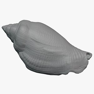 Gibberulus Gibberulus - For 3D Print
