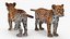 Leopard Cub Rigged with Fur 3D