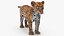 Leopard Cub Rigged with Fur 3D