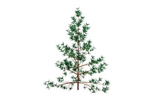 3ds max trees