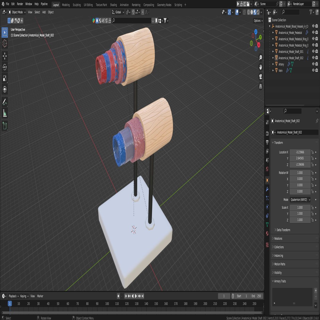 Anatomical Model Blood Vessels in Cross Section on Shaft 3D model https://p.turbosquid.com/ts-thumb/9H/P75ctW/46/anatomical_model_blood_vessels_in_cross_section_on_shaft_1001/jpg/1744287109/1920x1080/fit_q87/f086b1624e0c5f9d5cce7b0be8c41aea519061fc/anatomical_model_blood_vessels_in_cross_section_on_shaft_1001.jpg