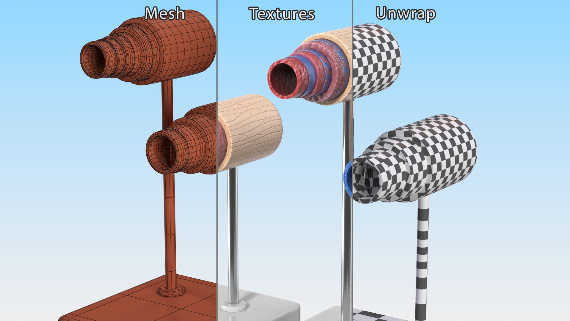 Anatomical Model Blood Vessels in Cross Section on Shaft 3D model https://p.turbosquid.com/ts-thumb/9H/P75ctW/ZH/anatomical_model_blood_vessels_in_cross_section_on_shaft_012/jpg/1744287092/1920x1080/fit_q87/dd783604bba99e86d3d90709a81c2d7c3e462dd5/anatomical_model_blood_vessels_in_cross_section_on_shaft_012.jpg