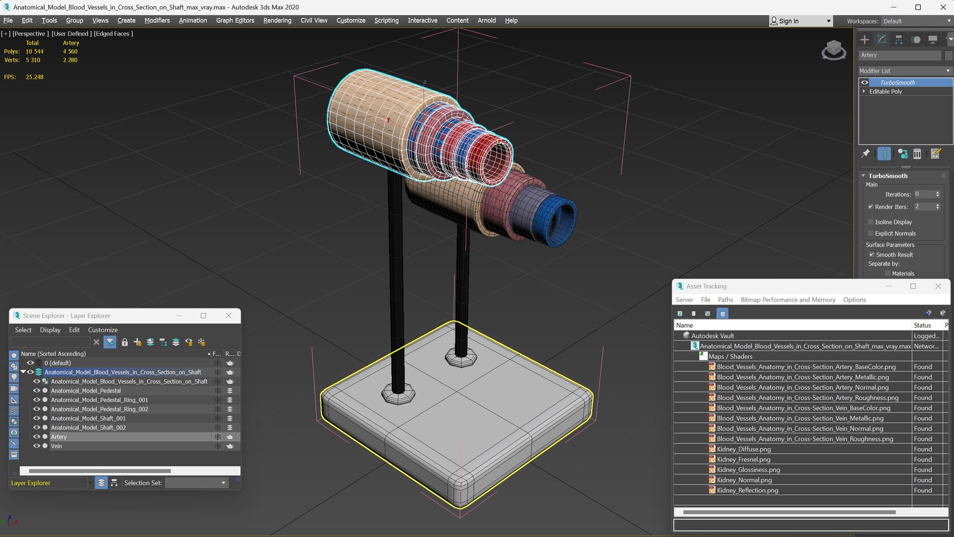 Anatomical Model Blood Vessels in Cross Section on Shaft 3D model https://p.turbosquid.com/ts-thumb/9H/P75ctW/n8/anatomical_model_blood_vessels_in_cross_section_on_shaft_016/jpg/1744287103/1920x1080/fit_q87/836c7b550988ed233af0f8f27ebe68a26c302003/anatomical_model_blood_vessels_in_cross_section_on_shaft_016.jpg