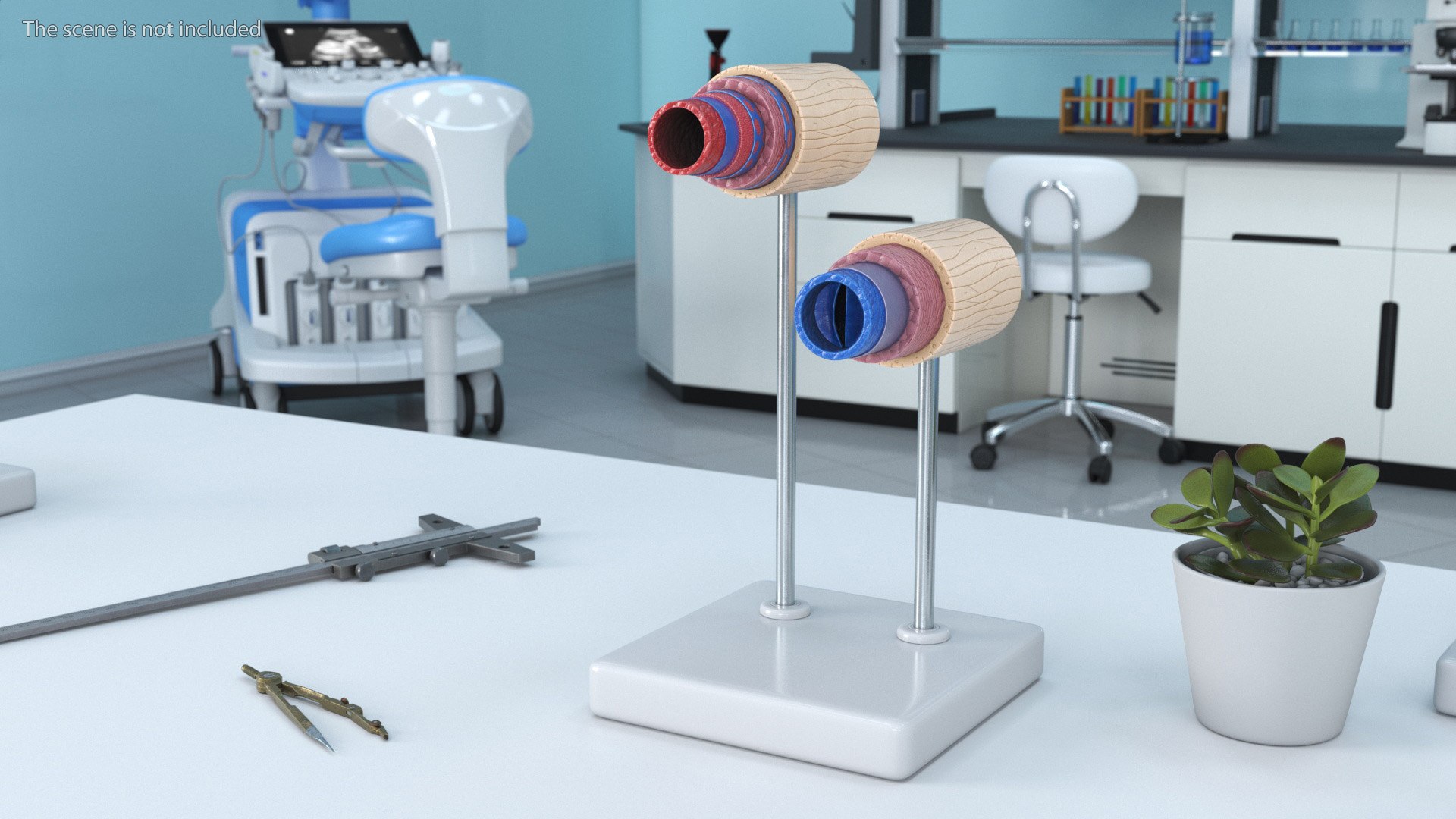 Anatomical Model Blood Vessels in Cross Section on Shaft 3D model https://p.turbosquid.com/ts-thumb/9H/P75ctW/pp/anatomical_model_blood_vessels_in_cross_section_on_shaft_003/jpg/1744287080/1920x1080/fit_q87/9bc7a8c0bbf60a9dfb3e2245408e5c8462d5db1f/anatomical_model_blood_vessels_in_cross_section_on_shaft_003.jpg