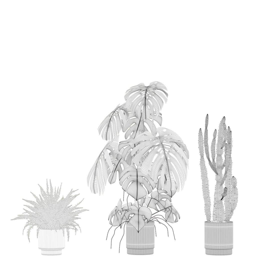 Plants collection 212 - monstera ficus cactus fern 3D model https://p.turbosquid.com/ts-thumb/9H/SWixrY/05/11/jpg/1718782229/1920x1080/fit_q87/beb01eef0bd052fbcad3feb6759c0cd19a30c12f/11.jpg