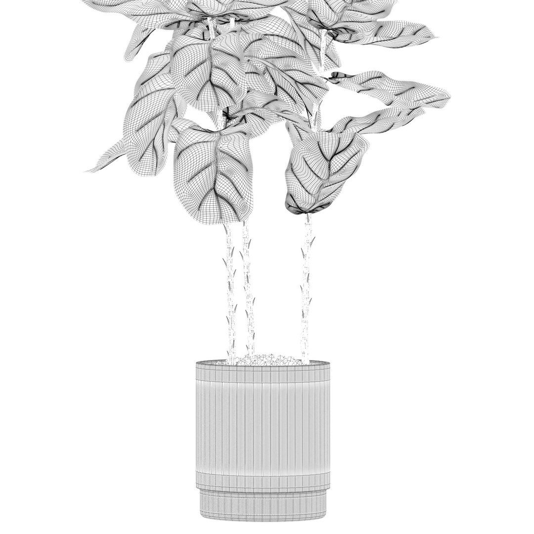 Plants collection 212 - monstera ficus cactus fern 3D model https://p.turbosquid.com/ts-thumb/9H/SWixrY/2k/18/jpg/1718782241/1920x1080/fit_q87/328ea362c78e4a986b555a42f803ba1b3baec84f/18.jpg