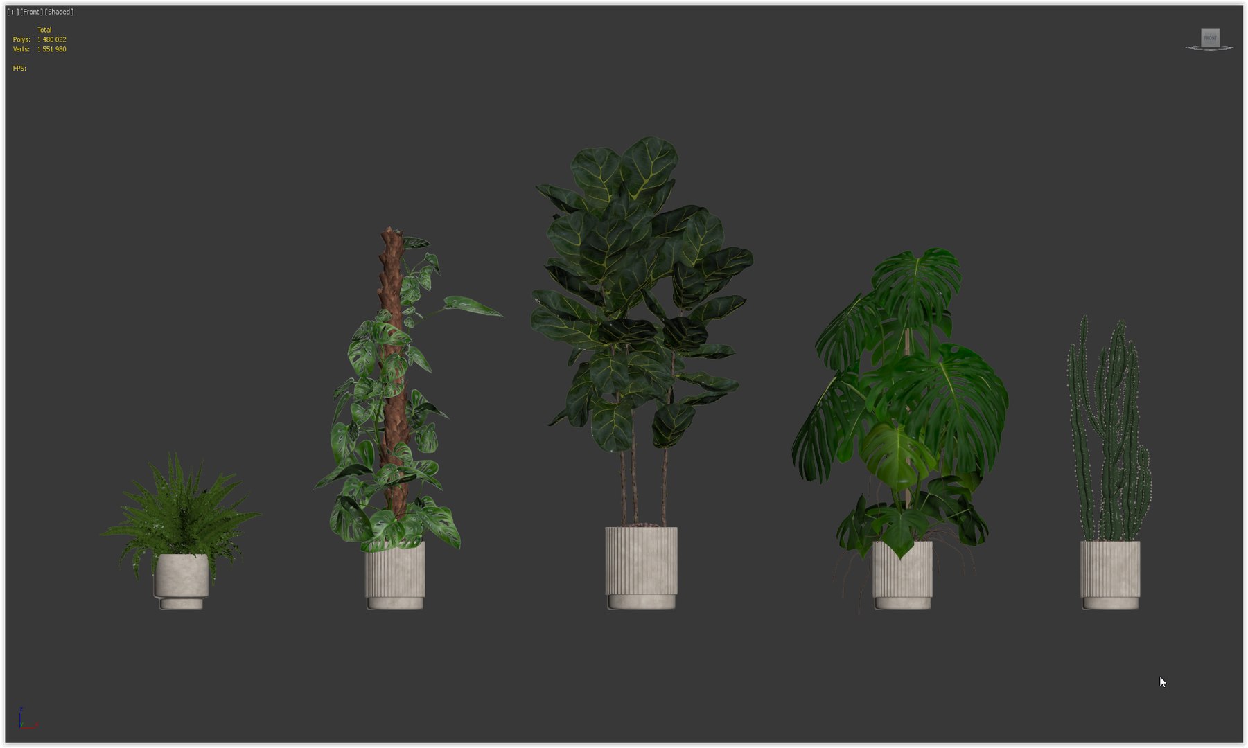 Plants collection 212 - monstera ficus cactus fern 3D model https://p.turbosquid.com/ts-thumb/9H/SWixrY/5d/23/png/1718782251/1920x1080/fit_q87/23990a787fb792485318f64821fb3fbdfe1ae6a1/23.jpg