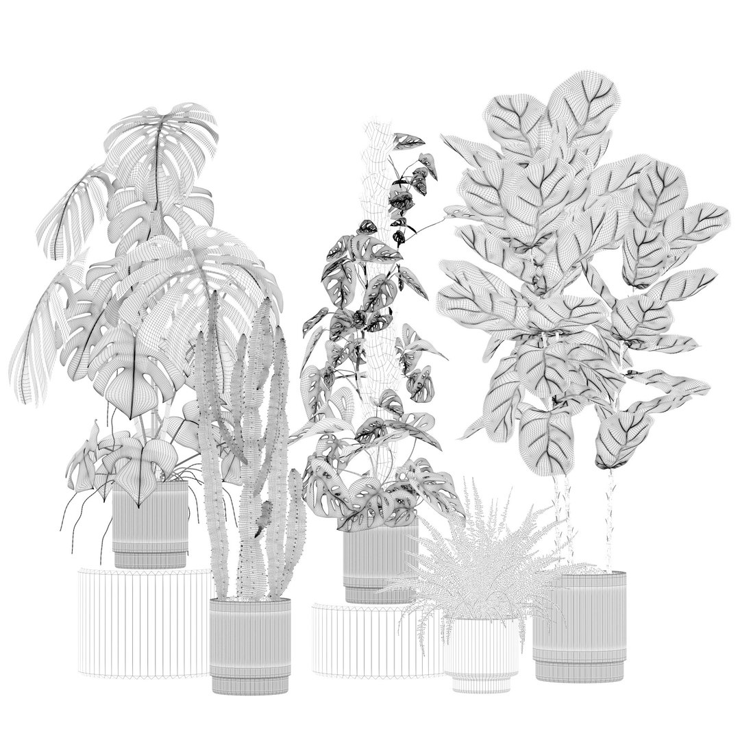 Plants collection 212 - monstera ficus cactus fern 3D model https://p.turbosquid.com/ts-thumb/9H/SWixrY/Jo/10/jpg/1718782224/1920x1080/fit_q87/fb6acff434d8b094a8fbfb74f8783558df02d84c/10.jpg
