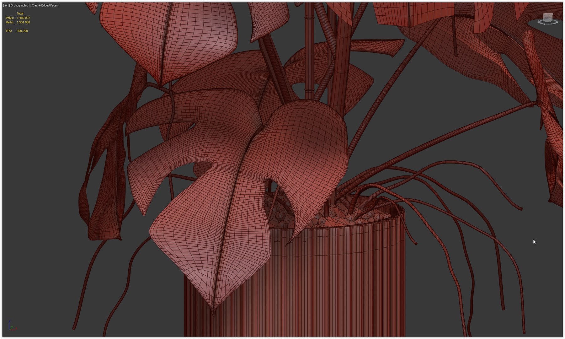 Plants collection 212 - monstera ficus cactus fern 3D model https://p.turbosquid.com/ts-thumb/9H/SWixrY/ZW/25/png/1718782257/1920x1080/fit_q87/8f8c59c97c6d88d638f63f4a707510d49418e43b/25.jpg