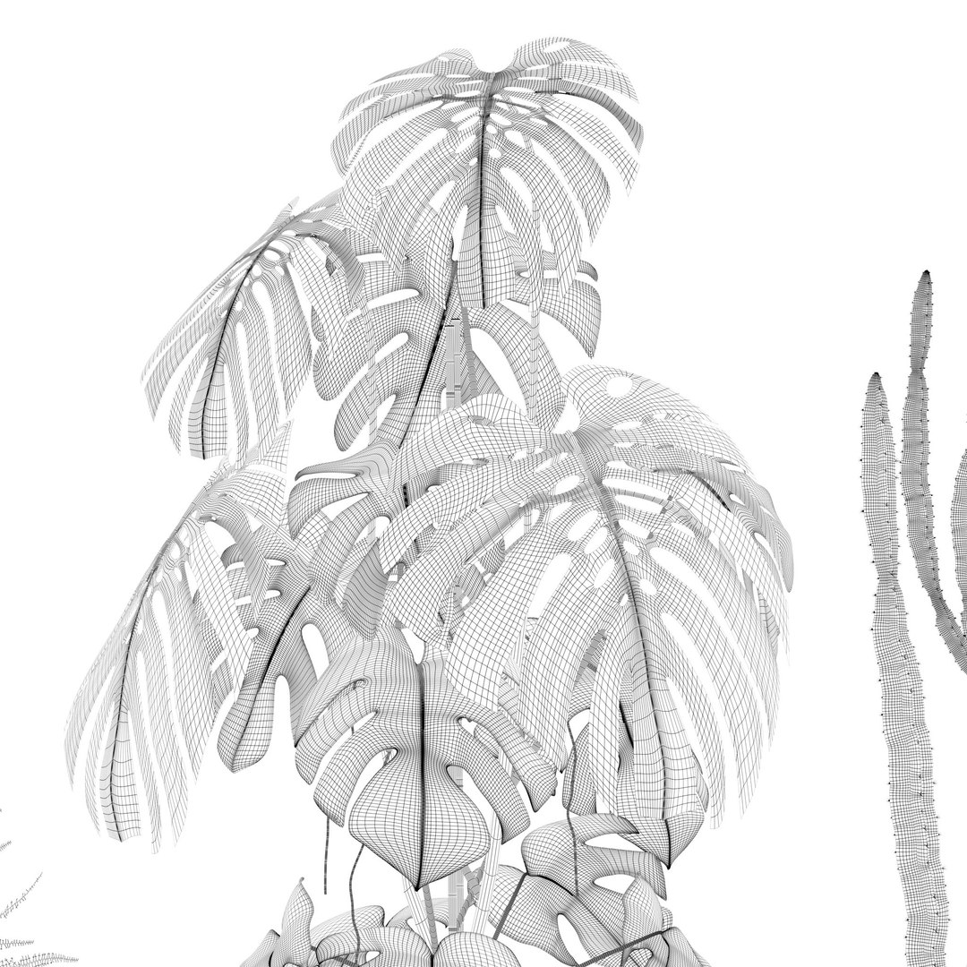 Plants collection 212 - monstera ficus cactus fern 3D model https://p.turbosquid.com/ts-thumb/9H/SWixrY/t7/16/jpg/1718782239/1920x1080/fit_q87/f405d4b96490af4296d2f77358ba93978a7c88cb/16.jpg