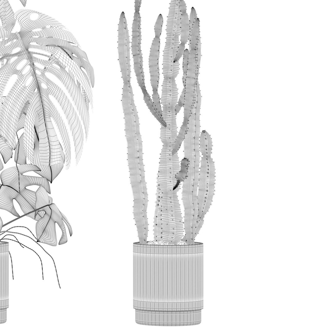 Plants collection 212 - monstera ficus cactus fern 3D model https://p.turbosquid.com/ts-thumb/9H/SWixrY/tj/15/jpg/1718782237/1920x1080/fit_q87/4e65b842aefc0a95c845b773cee6d216ad9f9568/15.jpg