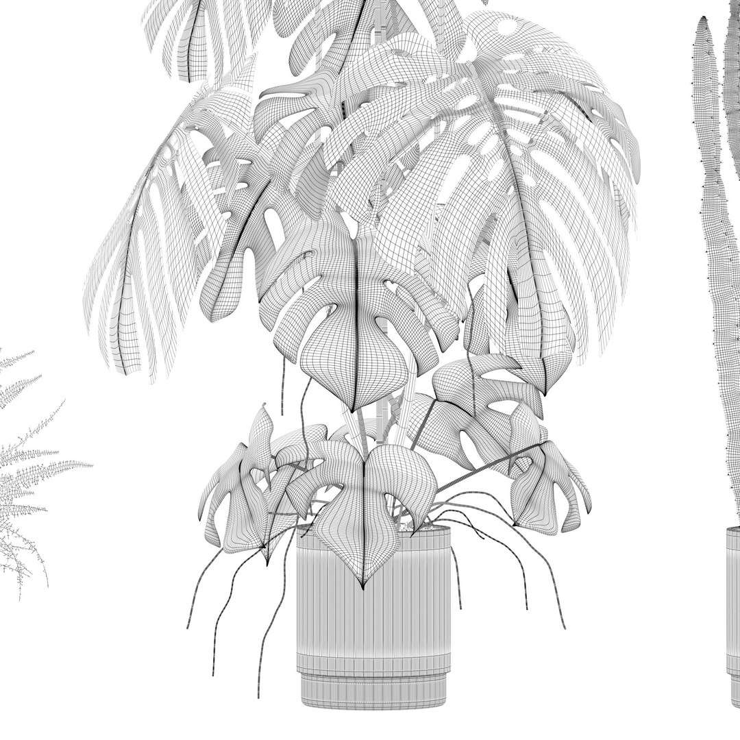 Plants collection 212 - monstera ficus cactus fern 3D model https://p.turbosquid.com/ts-thumb/9H/SWixrY/zO/14/jpg/1718782234/1920x1080/fit_q87/a4f968984cfcdf7eb3e66f6f24f16e7d5300f562/14.jpg