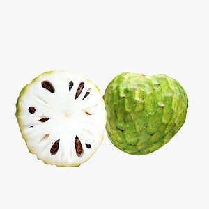 3D model lightwave cherimoya