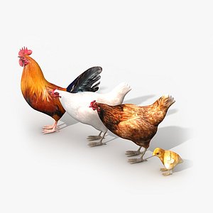 3d model chicken family