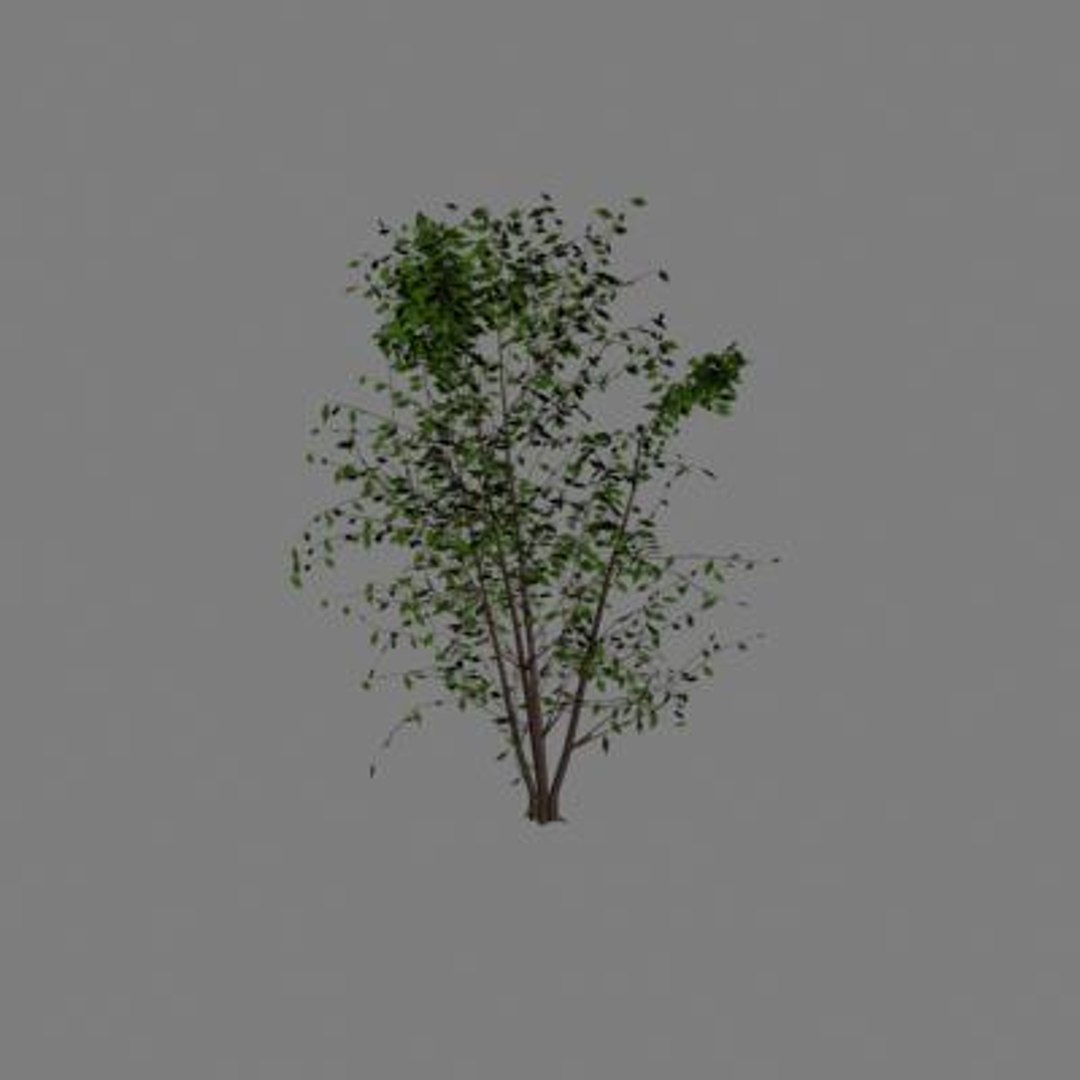 Tree 3ds