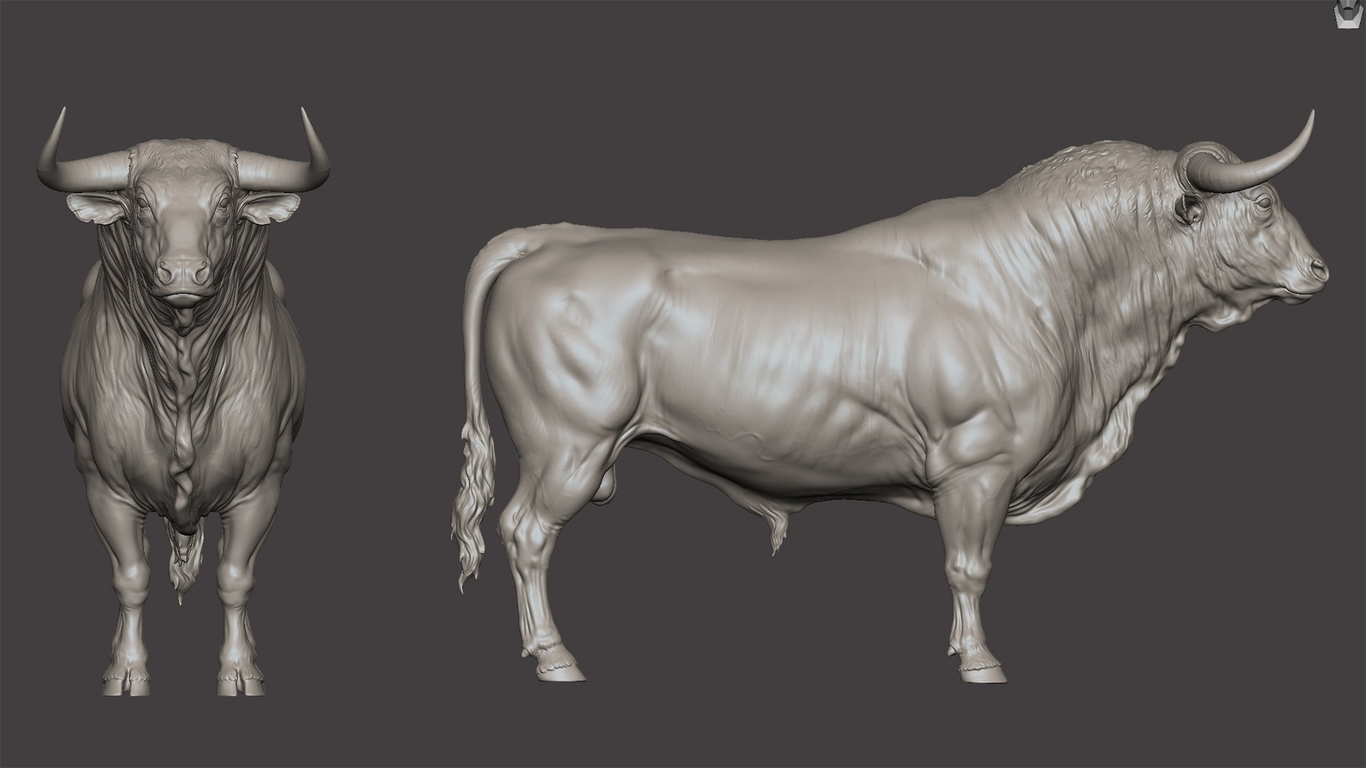 3D Bull - 3D Sculpting - High Poly Model - TurboSquid 2318242