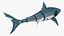 3D Shark Robot Animated Rigged