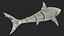 3D Shark Robot Animated Rigged