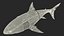 3D Shark Robot Animated Rigged