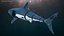 3D Shark Robot Animated Rigged