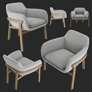 3D IRENE DLS