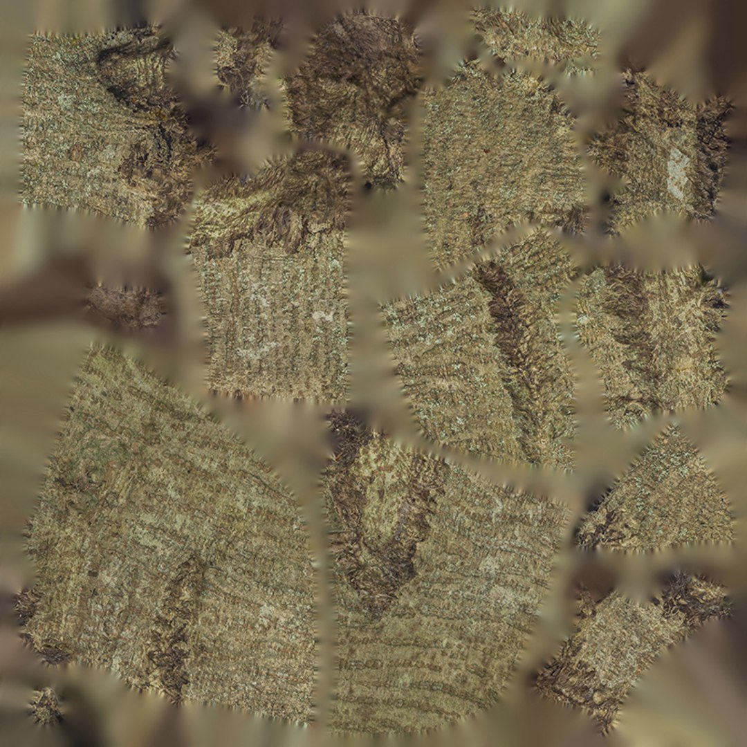 3D Anydrafts Koelreuteria paniculata Burl 17 model https://p.turbosquid.com/ts-thumb/9I/4cxZkY/Cu/800x800/jpg/1733751290/1920x1080/fit_q87/98598192e5492932786340ea3168a0db13abed78/800x800.jpg