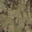 Anydrafts Koelreuteria paniculata Burl 17