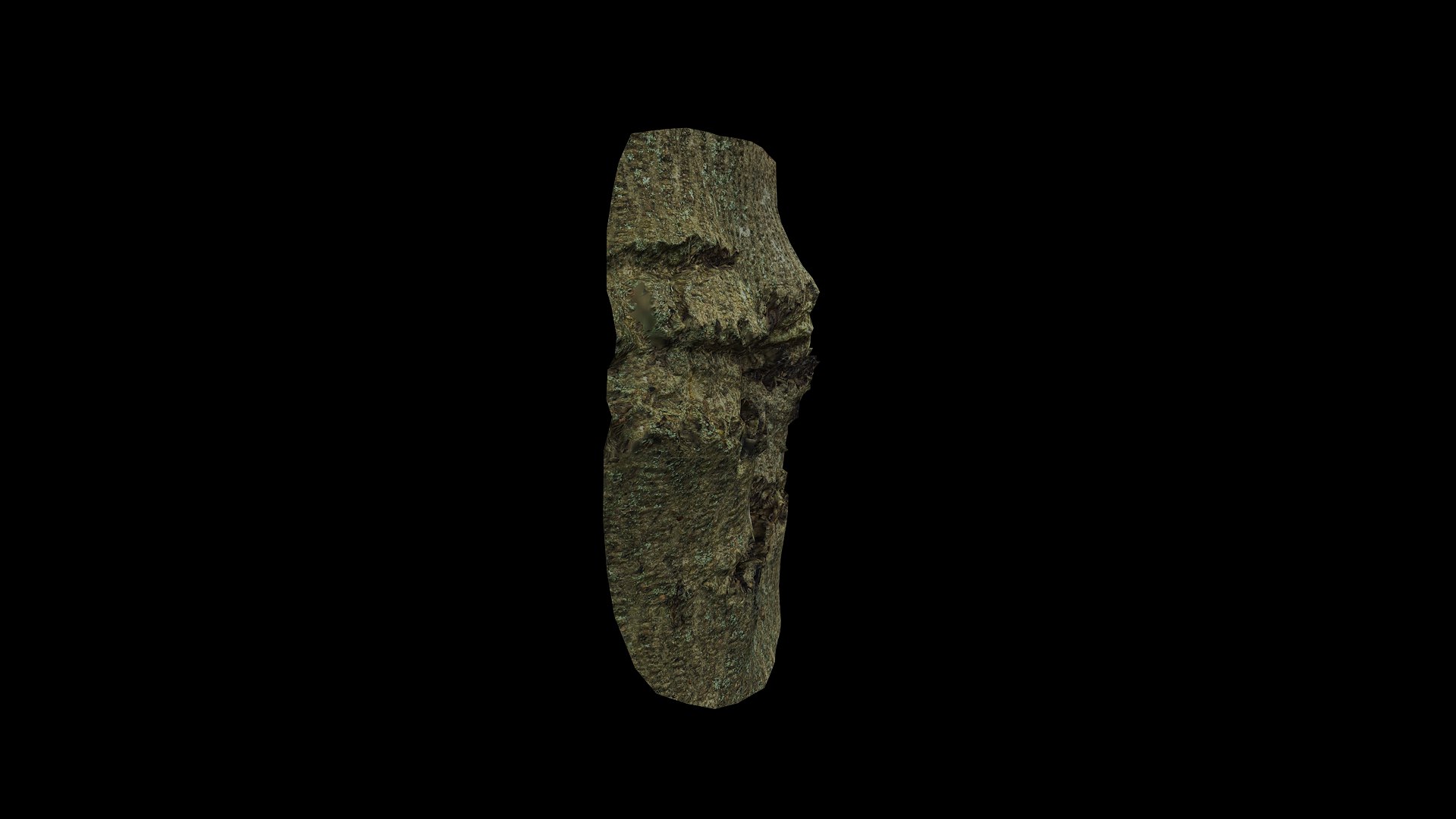 3D Anydrafts Koelreuteria paniculata Burl 17 model https://p.turbosquid.com/ts-thumb/9I/4cxZkY/KI/preview_6/png/1733751294/1920x1080/fit_q87/e89dd76c57872b9a737bcae69f325bc8da761c53/preview_6.jpg