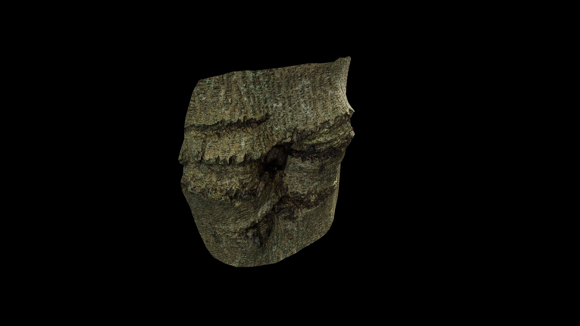 3D Anydrafts Koelreuteria paniculata Burl 17 model https://p.turbosquid.com/ts-thumb/9I/4cxZkY/sR/preview_7/png/1733751294/1920x1080/fit_q87/34fc2827d615459ebc95f9d17ce0335a673080c4/preview_7.jpg