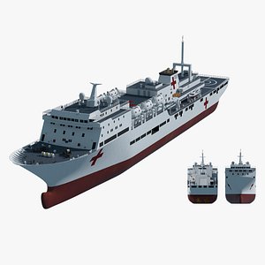 The Chinese Peace Ark hospital ship