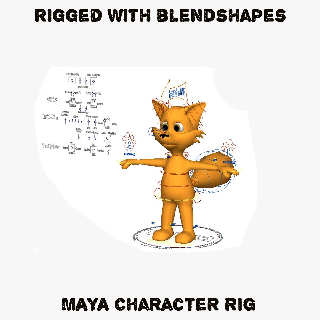 3d Rigged Fox