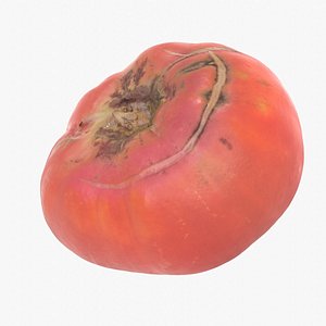 Tomato 01 high-poly 3D model 3D model