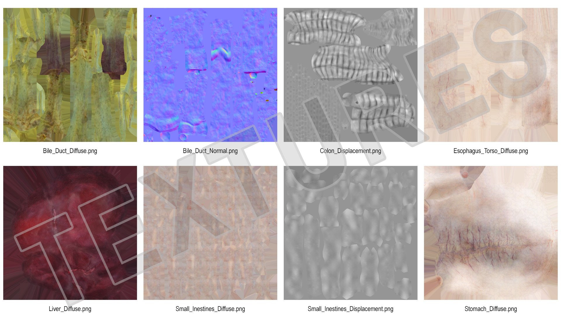 3D human digestive model https://p.turbosquid.com/ts-thumb/9I/Z6twPq/481U6Yan/humandigestivesystemvray3dmodel025/jpg/1573159385/1920x1080/fit_q87/5c8d87aa6ef9c2ee503a9ee7c739ba02c34b1311/humandigestivesystemvray3dmodel025.jpg