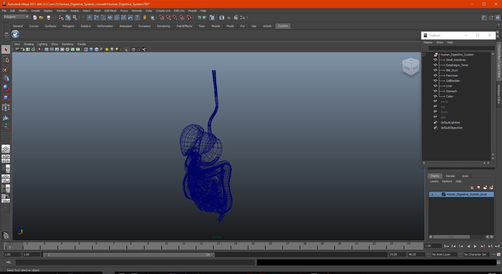 3D human digestive model https://p.turbosquid.com/ts-thumb/9I/Z6twPq/Y9fFQffj/humandigestivesystemvray3dmodel026/jpg/1573159390/1920x1080/fit_q87/5a59b43eb9bff0262353337e6a58d376e80c219c/humandigestivesystemvray3dmodel026.jpg