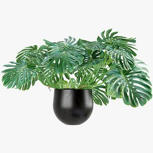 monstera 3D model