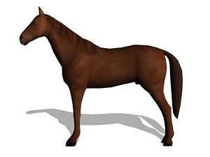 3d horse