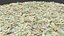 Bunch of Dollar Bills V1