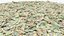 Bunch of Dollar Bills V1