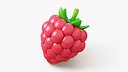 Raspberry Stylized