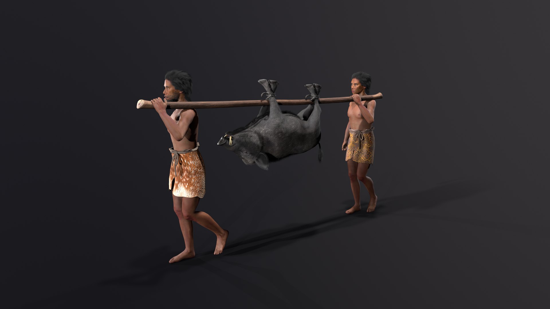 African Huntsman 3D Model - TurboSquid 2195835