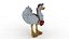 Funny  Cartoon Ostrich