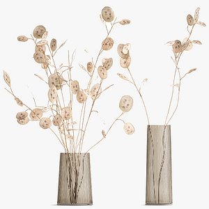 3D Bouquet of dried flowers  Lunaria in a glass vase 129 model