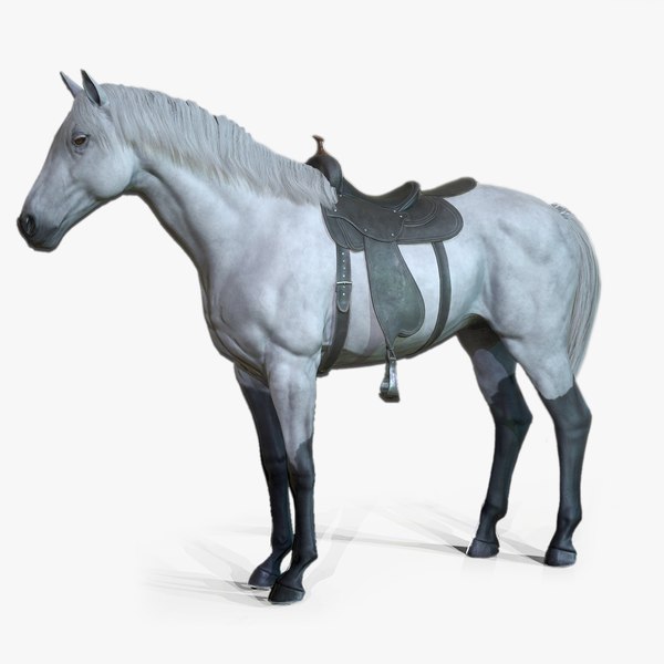 Cavalo estilizado Lowpoly animado para jogos VR AR Modelo 3D - TurboSquid  2059450