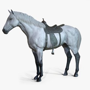 Horses - Game Ready