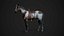 Horses - Stallions 3D